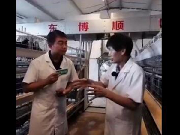 qq截圖20210806160325
